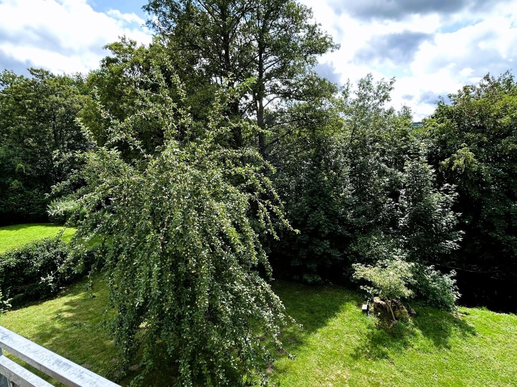 Ferienwohnung Sauerland An Der Ruhr オルスベルク エクステリア 写真