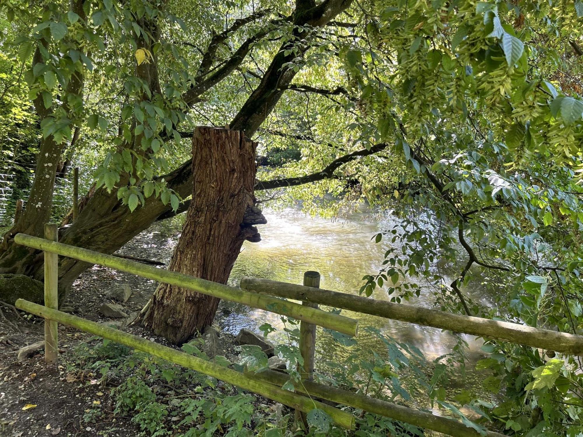Ferienwohnung Sauerland An Der Ruhr オルスベルク エクステリア 写真