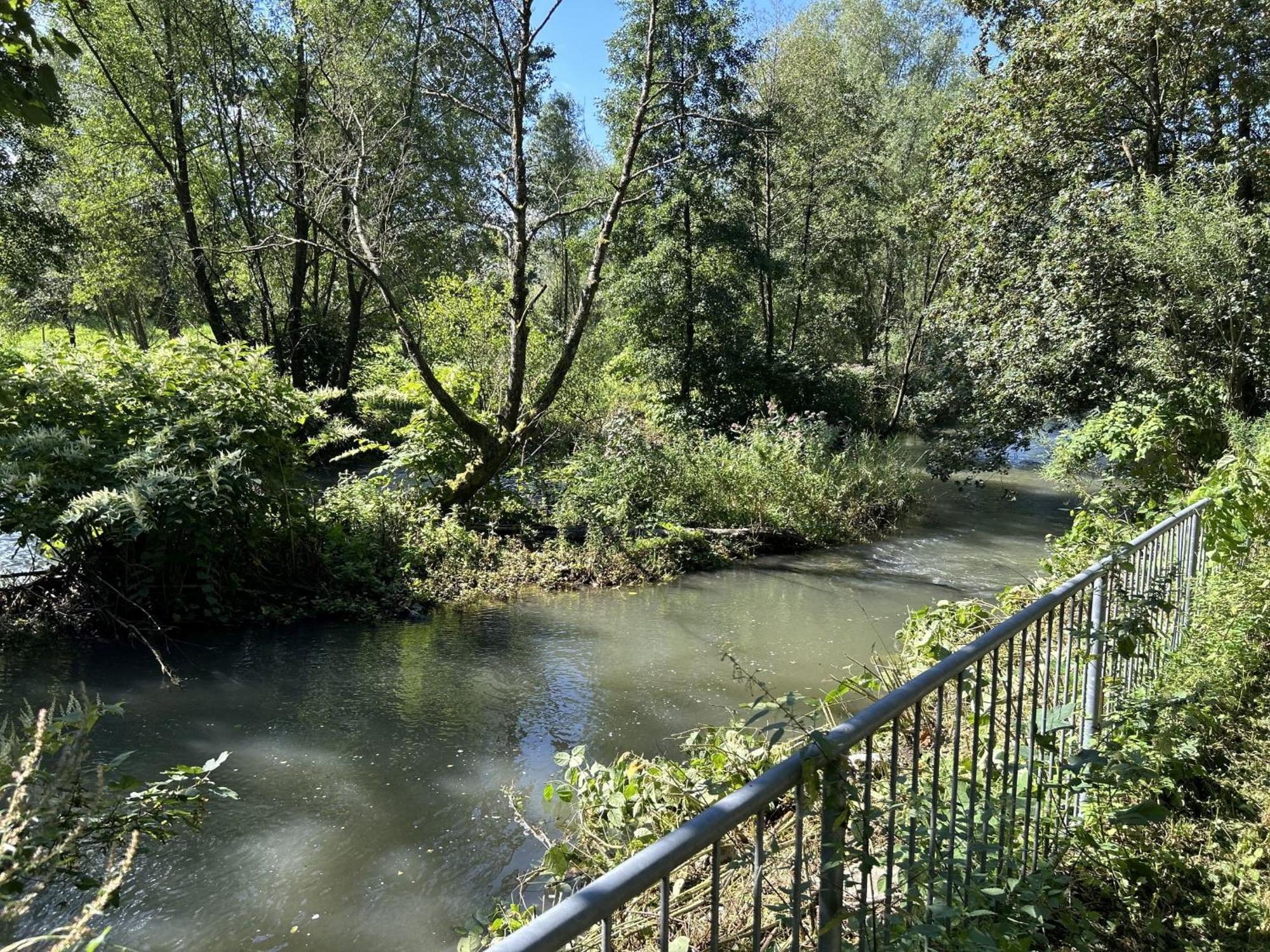 Ferienwohnung Sauerland An Der Ruhr オルスベルク エクステリア 写真